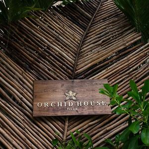 Orchid House Tulum